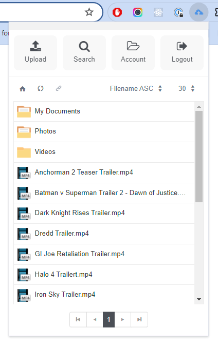 Browser Extension